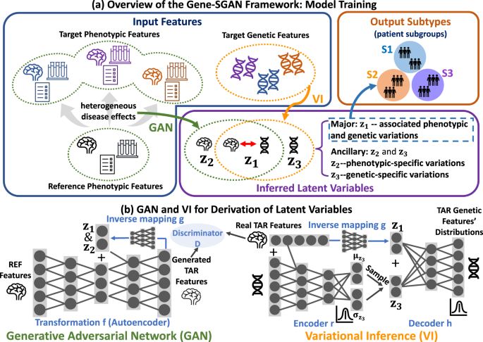 Fig. 1: Gene-SGAN identifies disease-related subtypes simultaneously guided by genetic and phenotypic features.