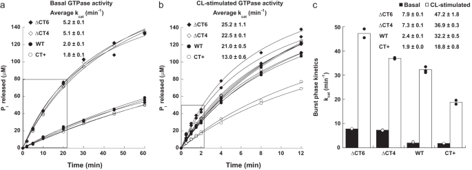 Fig. 3: CT-SLiM modifications differentially affect Drp1 GTPase activity.
