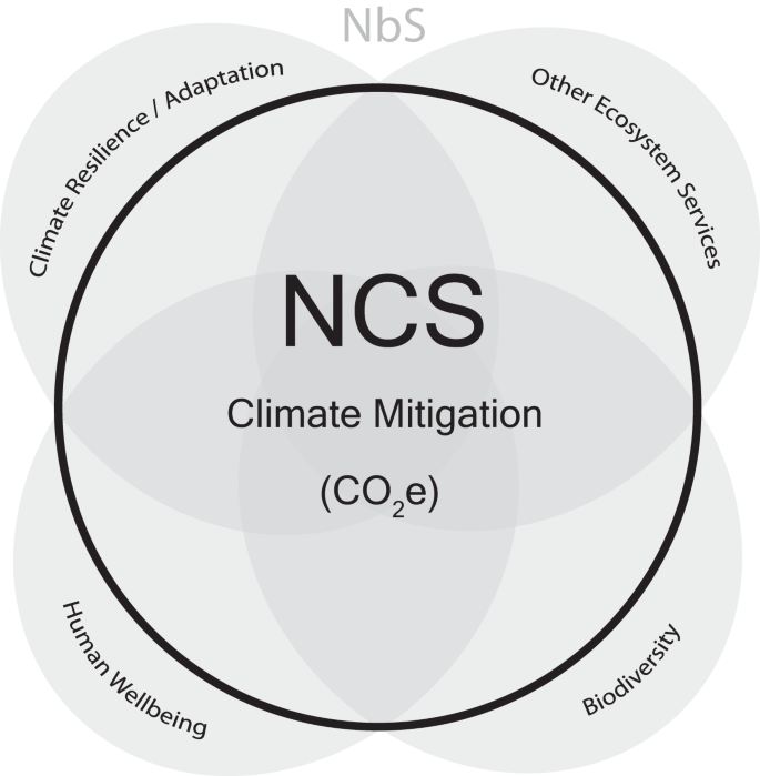 Fig. 1: Overlap of natural climate and nature-based solutions.