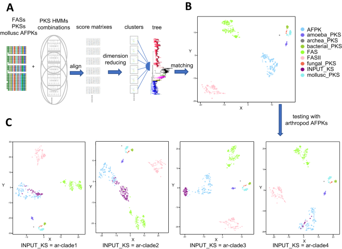 Fig. 8: Overview of animal FAS-like polyketide synthase (AFPK)-Finder.