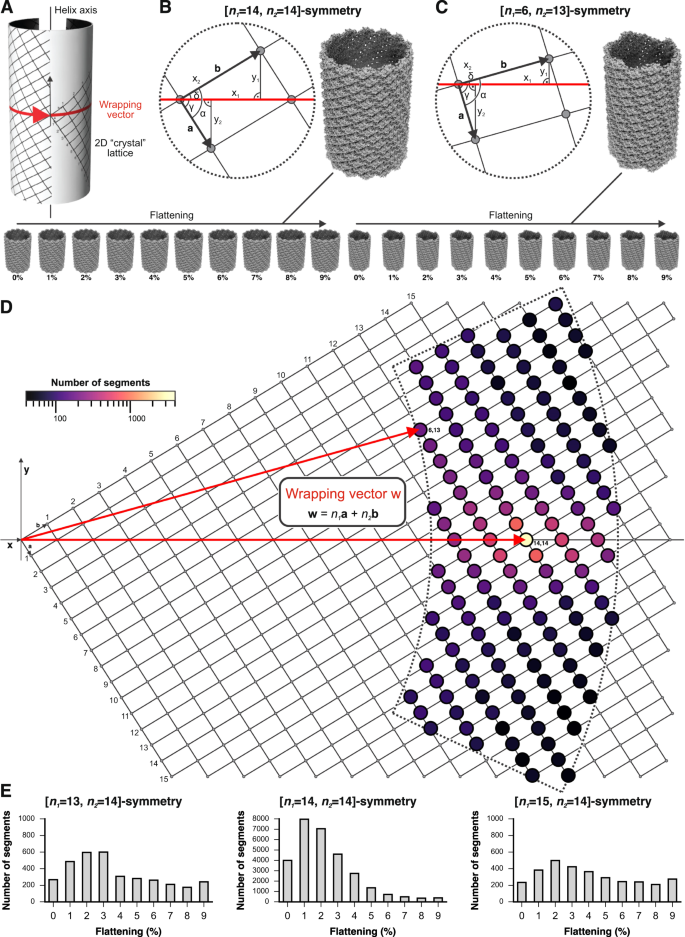 https://media.springernature.com/lw685/springer-static/image/art%3A10.1038%2Fs41467-023-44596-y/MediaObjects/41467_2023_44596_Fig5_HTML.png