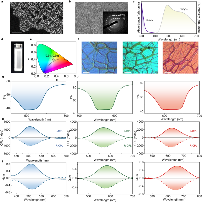 Fig. 2: Characterizations of the Cu-Ga-S/ZnS white quantum dots (WQDs) and spiral full-color emission generator (SFEG).