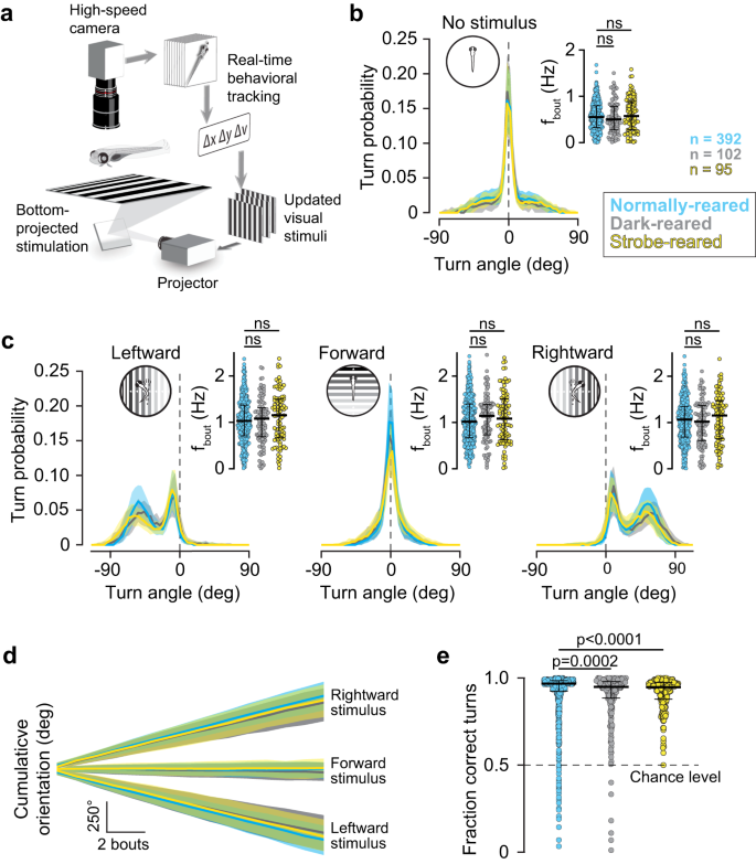 Fig. 1: The OMR matures in the absence of visual experience.
