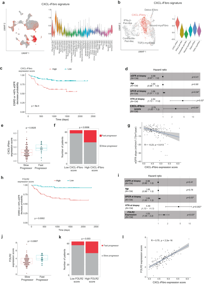 Fig. 6: Expression of CXCL-iFibro gene signature predicts poor outcome of early CKD patients.
