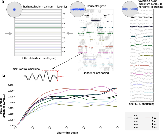 Fig. 8: Result of numerical modelling of folding in anisotropic ice (ELLE + VPFFT).