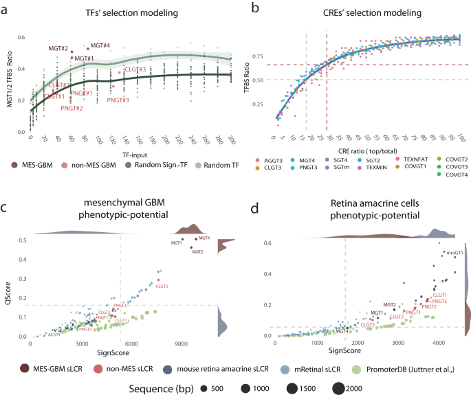 Fig. 3: Towards defining endogenous and synthetic reporters’ phenotypic potential via TFBS enrichment ranking.