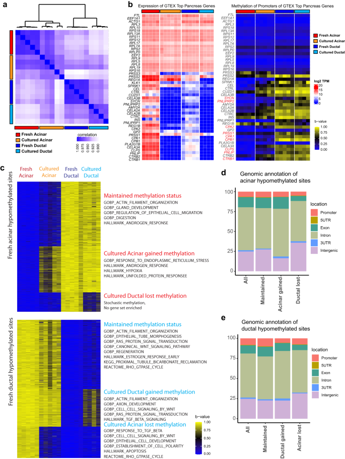 Fig. 2: Verification of cultured cell identity by DNA methylation status.