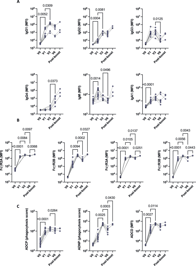 Fig. 2: Strong impact of mRNA-1273 vaccination on antibody response overtime.