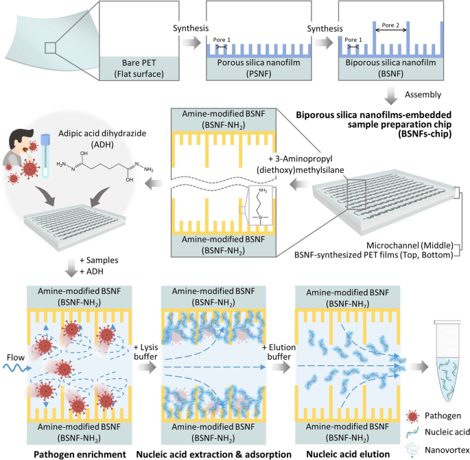 Fig. 1: Schematic drawings of the BSNFs-chip design and the sample preparation process.