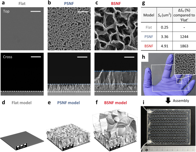 Fig. 2: Large-scale and uniform synthesis of the BSNF with high surface area.