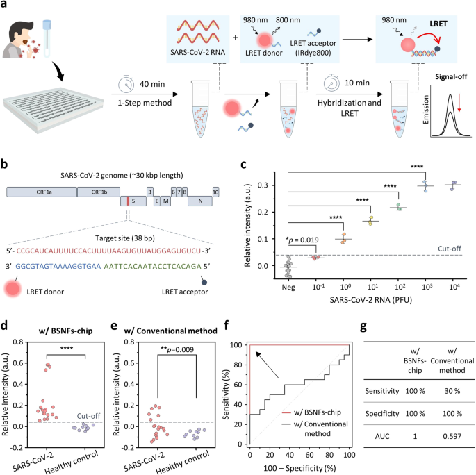 Fig. 5: High-sensitivity PCR-free detection of SARS-CoV-2 RNA extracted from BSNFs-chip.