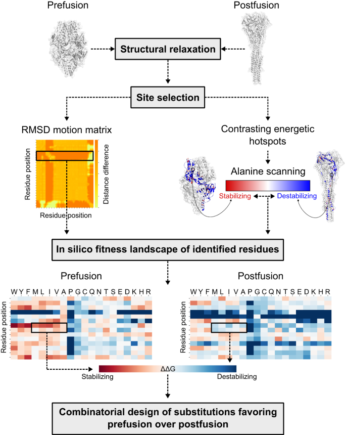 Fig. 1: Computational design overview.