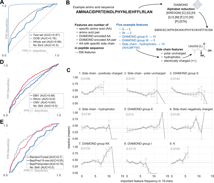 Fig. 2: Binary classification of 15-mer peptides containing an epitope.