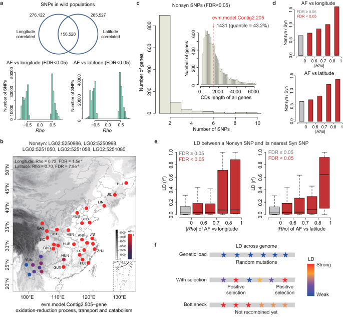 Fig. 2: Genetic evidence for environmental adaptation during the dispersal of A. gifuensis wild populations.
