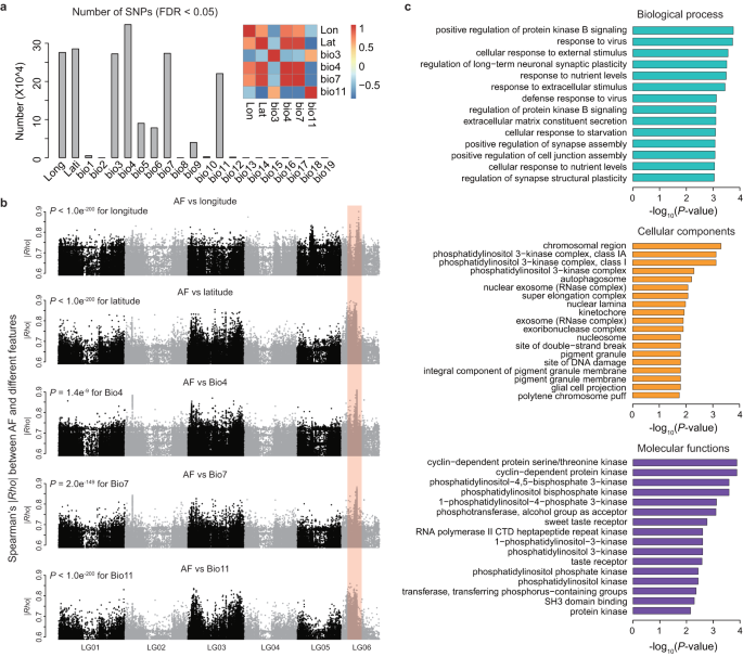 Fig. 3: Genes and genomic regions in wild A. gifuensis populations that are strongly correlated with geographic and climatic features.