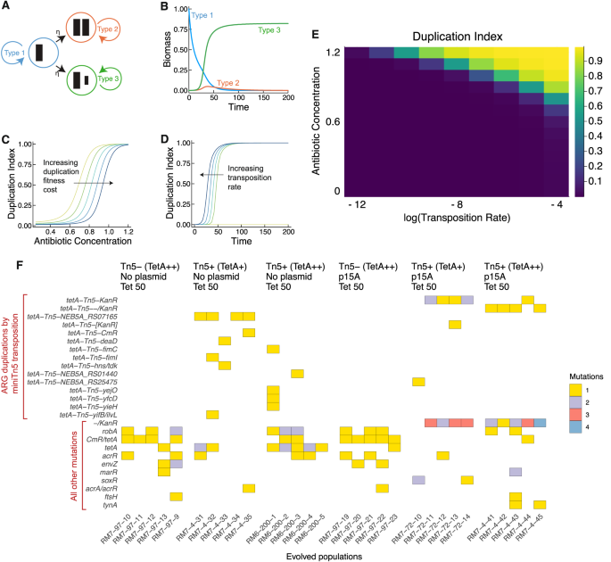 抗生物質耐性遺伝子のコピーがヒトと家畜で大幅に増加(Copies of Antibiotic Resistance Genes Greatly Elevated in Humans and Livestock)