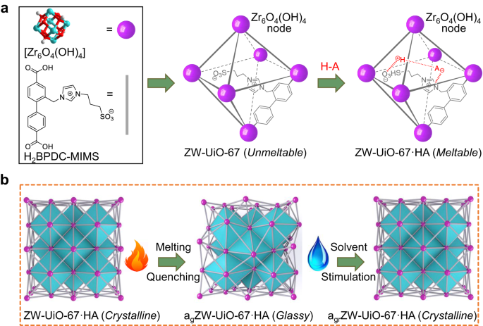 Fig. 1: Melt-quenched glass formation of ZW-UiO-67·HA.