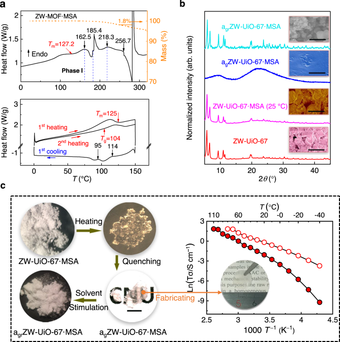 Fig. 2: Thermal dynamics of ZW-UiO-67·MSA.