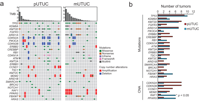 Fig. 2: Genomic landscape of primary and metastatic UTUC.