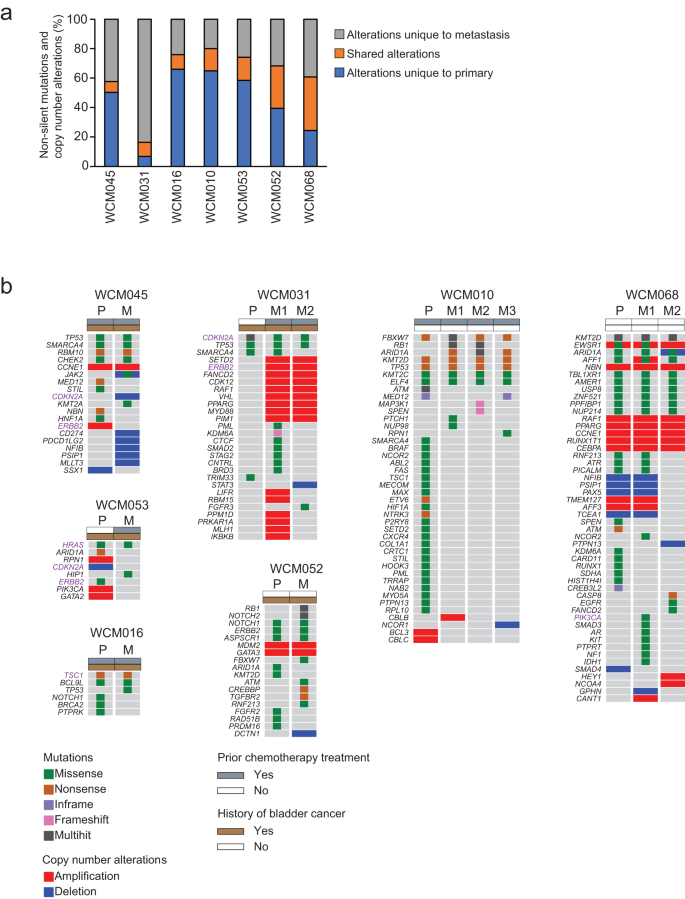 Fig. 3: Genomic heterogeneity between paired primary and metastatic UTUC.