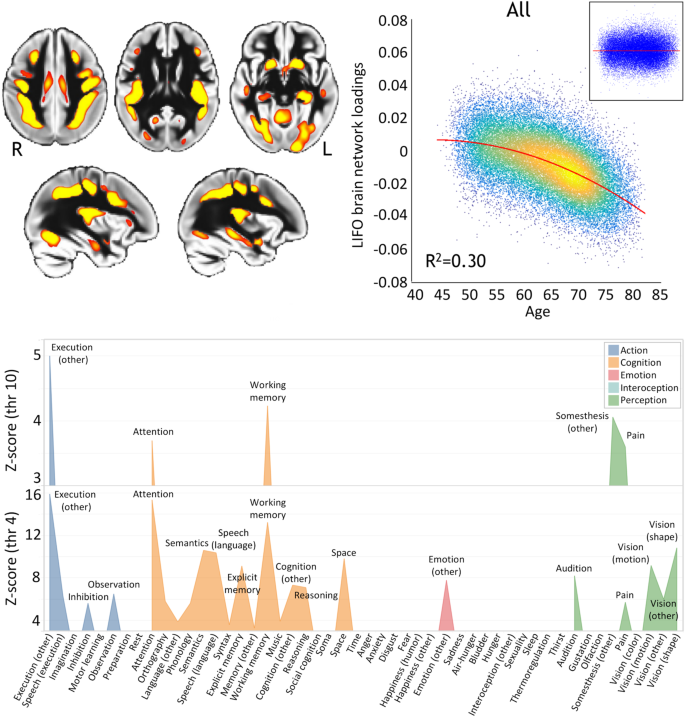 literature review alzheimer disease figure 1
