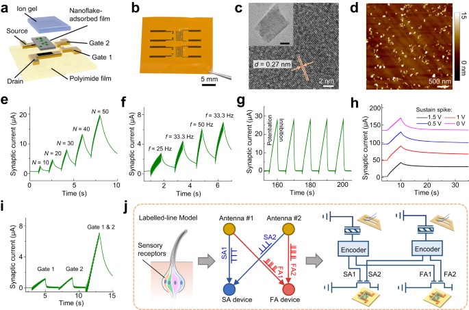 Fig. 3: Characterization and performance of the artificial synaptic device.