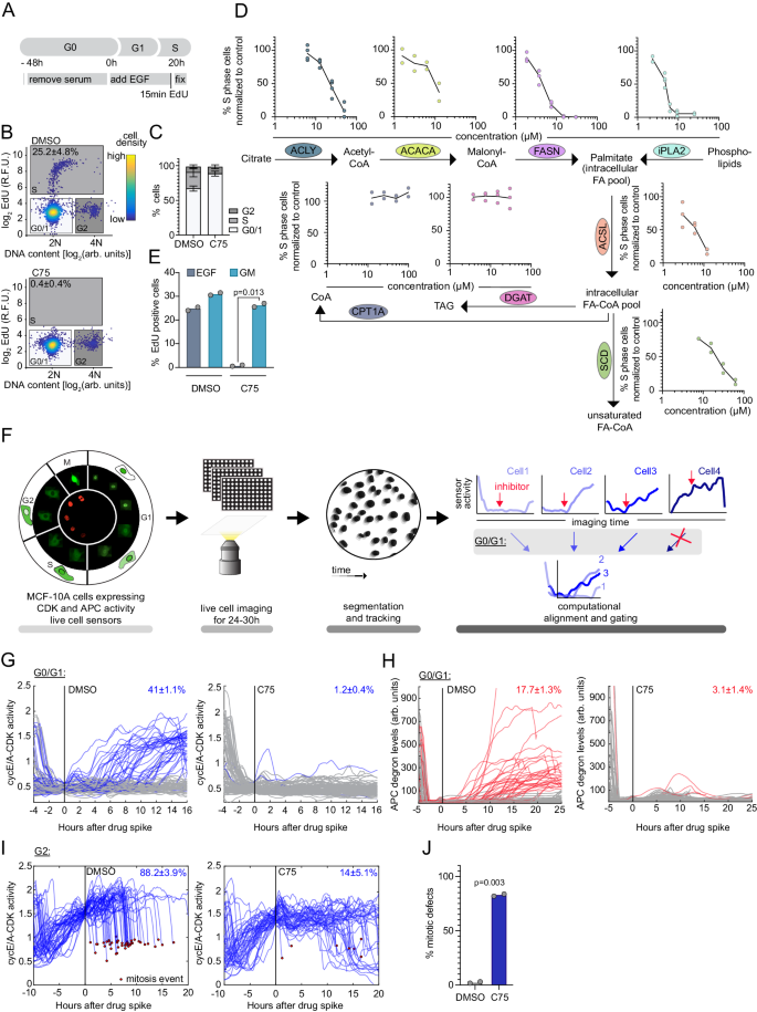 A fast-acting lipid checkpoint in G1 prevents mitotic defects 