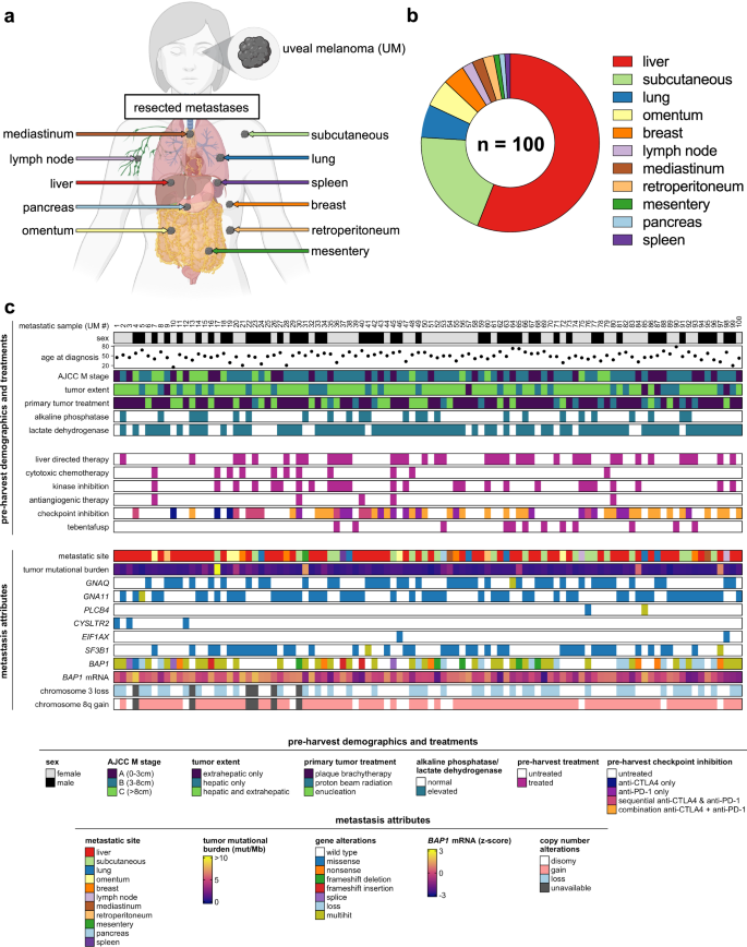 future research for melanoma figure 1