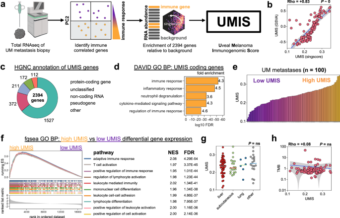 future research for melanoma figure 3