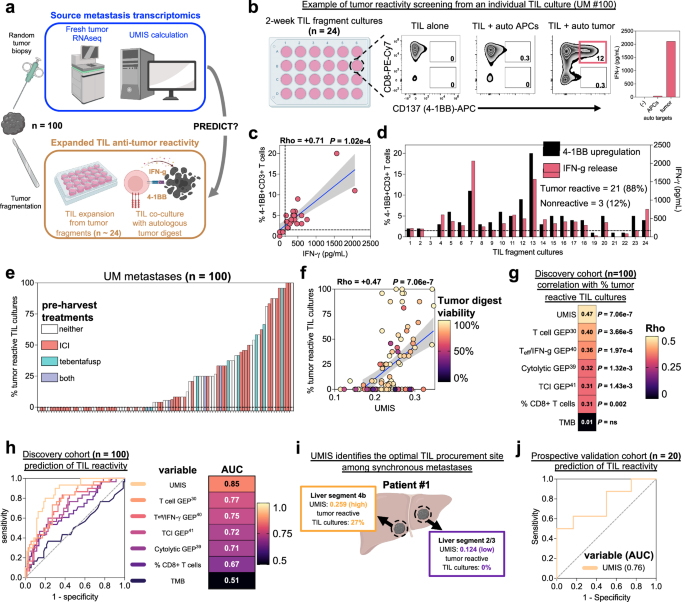 future research for melanoma figure 5