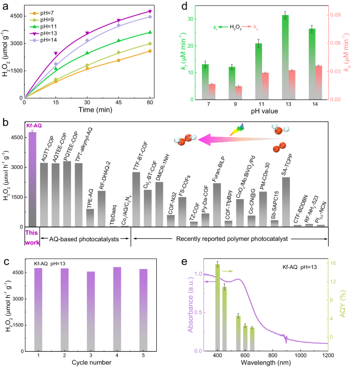 significance of photosynthesis essay figure 2
