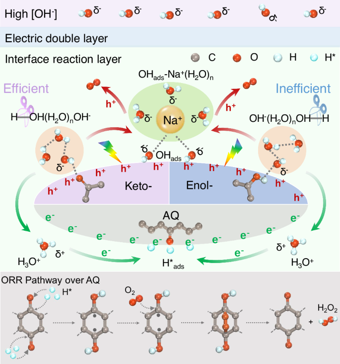 significance of photosynthesis essay figure 5