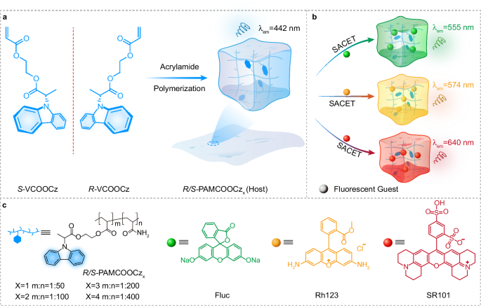 Fig. 1: Construction of blue CPOA polymers for enabling full-color chiral afterglow emission.