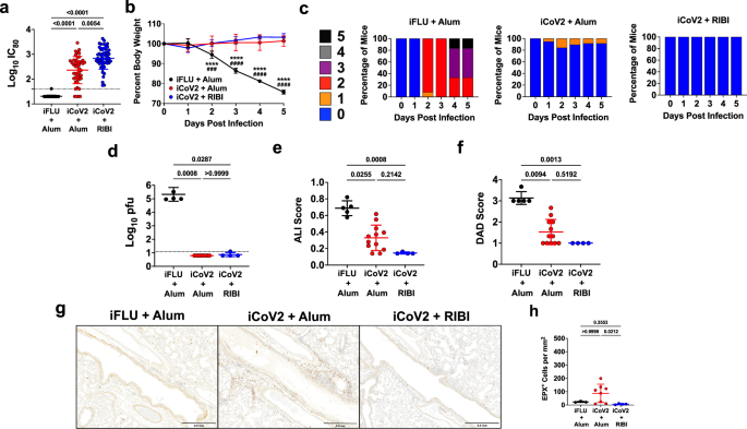 Fig. 1: Inactivated vaccine protects mice against SARS-CoV-2 but causes adjuvant-dependent type 2 inflammation.