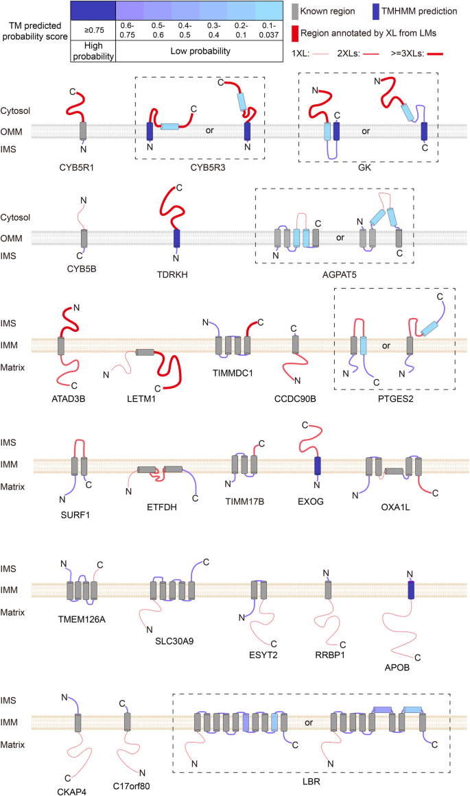 scope of study in research figure 5