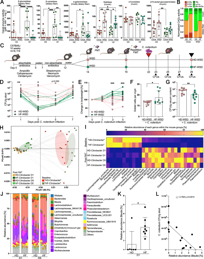 Fig. 3: Human-derived high-fiber microbiota ameliorate intestinal infection.
