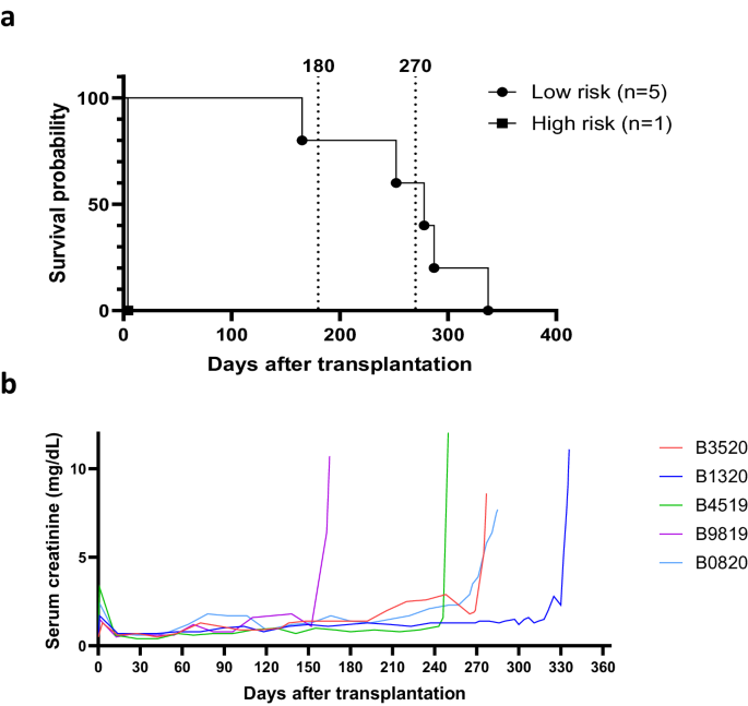 Fig. 1: 10GE porcine kidneys support life with stable renal function in baboons.