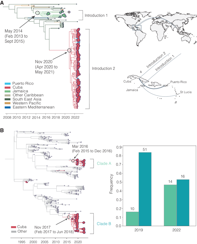 case presentation of dengue virus figure 6