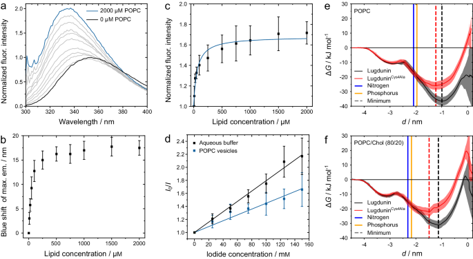 Fig. 2: Insertion of lugdunin into the membrane phase.