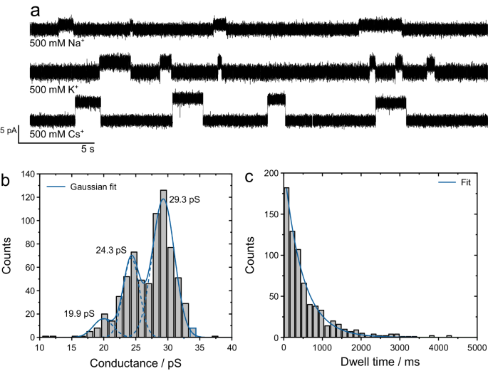 Fig. 7: Single-channel properties of membrane channels formed by lugdunin nanotubes.