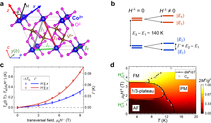 Fig. 1: Frustrated Ising model of α-CoV2O6.