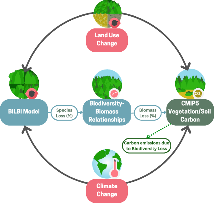 biodiversity loss thesis statement figure 1