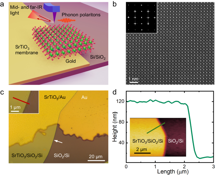研究者らが赤外線を「絞る」新しい方法を実証(Researchers Demonstrate New Way to ‘Squeeze’ Infrared Light)