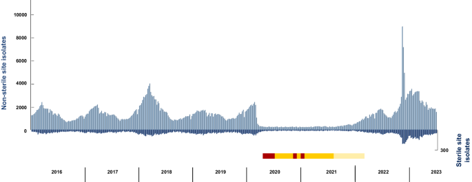 溶連菌A型感染の世界的急増に関する新たな洞察(Analysis reveals new insights into global surge of Strep A infections)