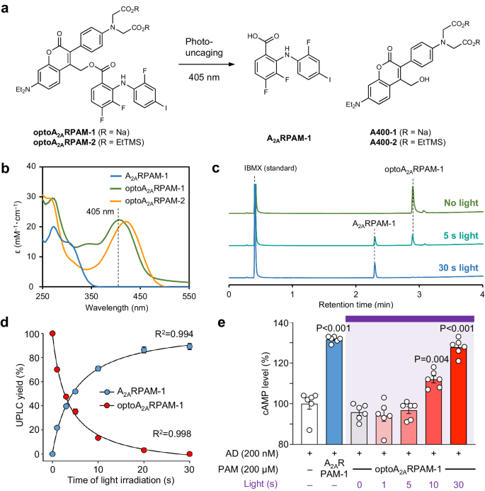 Fig. 3: Generation of photoactivatable optoA2AR PAM.