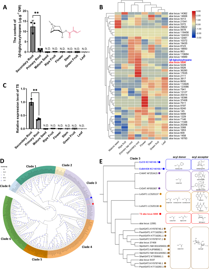 Fig. 2: Metabolite, transcriptome, and phylogenetic association analysis.