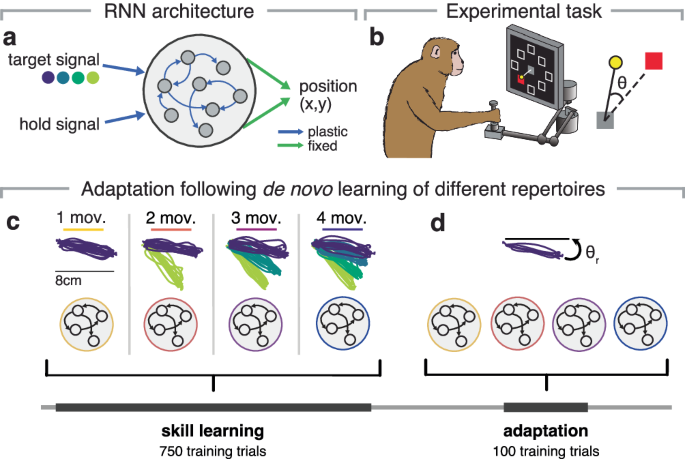 Fig. 1: Probing de novo learning and adaptation with RNNs.
