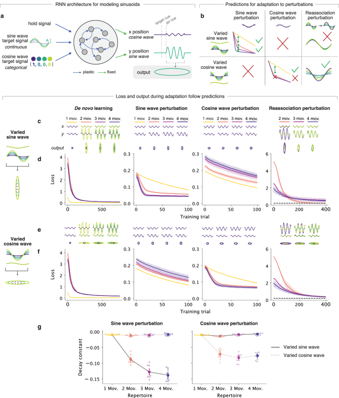 Fig. 6: The observed joint influence of motor repertoire and de novo learning experience extends to a more complex sinusoidal task.