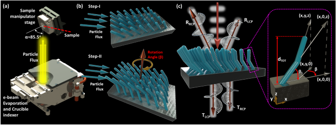 分子に光を当てる L字型メタマテリアルは光の方向を制御できる(Shining a light on molecules: L-shaped metamaterials can control light direction)