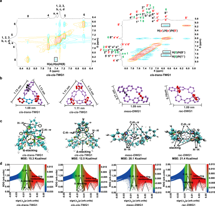 Fig. 4: Structural characterization and non-colvant interaction analysis of TWGs and DWGs.